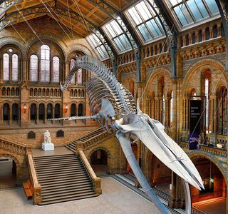 Aikappu Natural History Museum