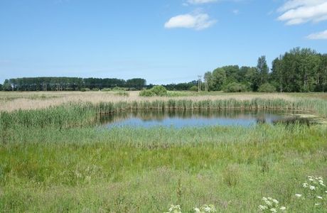 Sculthorpe Moor Nature Reserve