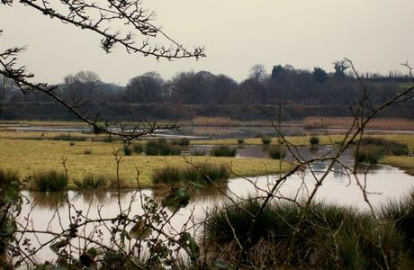 RSPB Bowling Green Marsh