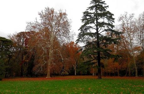 Parco del Neto