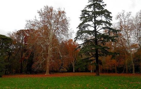 Parco del Neto 1