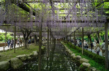 Tenno River Park