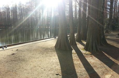 Besshonuma Park