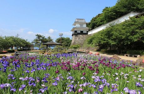 Omura Park