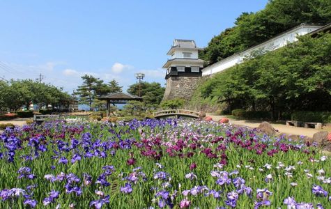 Omura Park 1