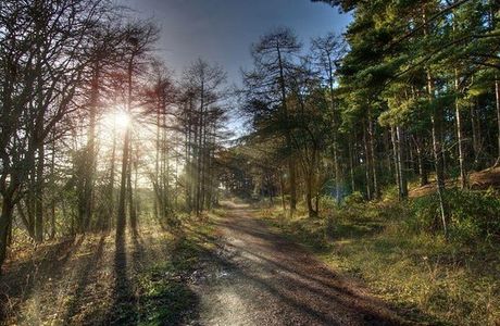 Irchester Country Park
