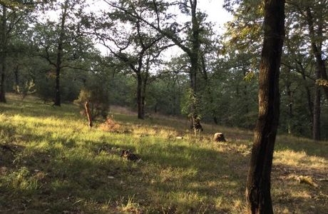Parco di Poggio Valicaia