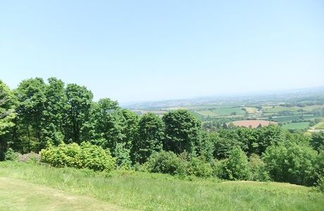 Haldon Forest Park (Forestry England)
