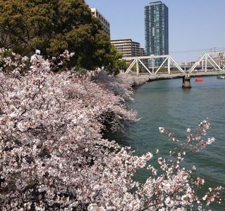 Kemasakuranomiya Park