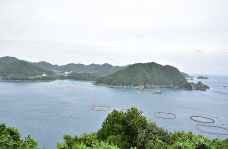 Marukizaki Lookout