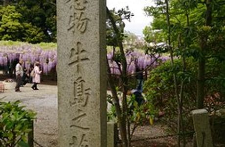 Ushijima no Fuji(Toka-en)