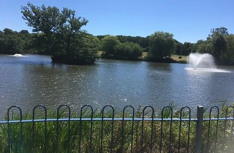 Lake Meadows