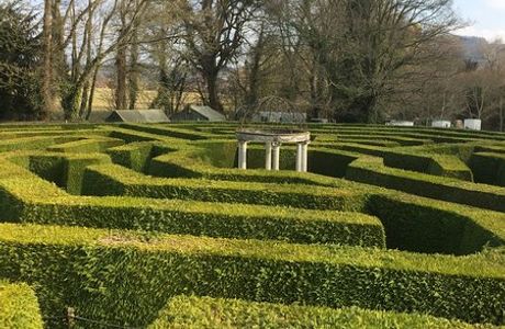 The aMazing Hedge Puzzle