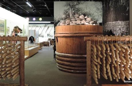 Shakujii Park Furusato Bunkakan