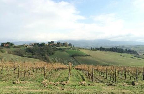 ASD Centro Equestre Bellavista