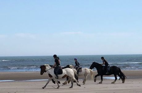 Slate Hall Riding Centre