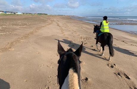 Black Cat Equestrian Centre