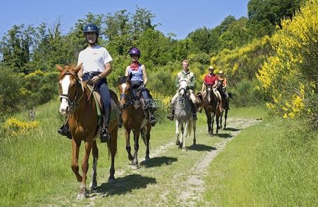 Siena Horse Riding