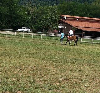 Unye Belediyesi Binicilik Tesisleri