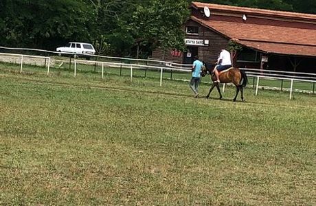 Unye Belediyesi Binicilik Tesisleri