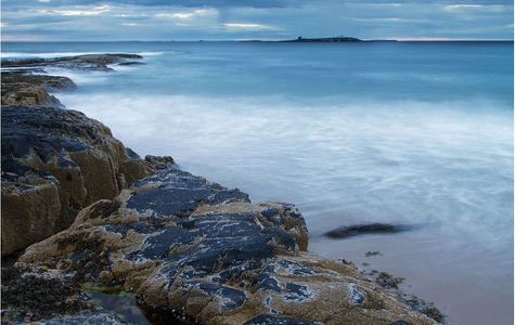 Farne Islands 1