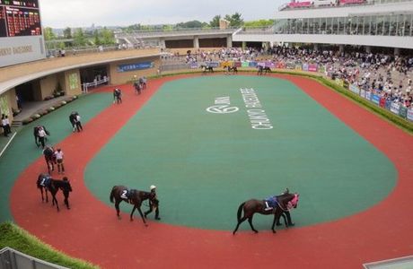 Chukyo Horse Race Track