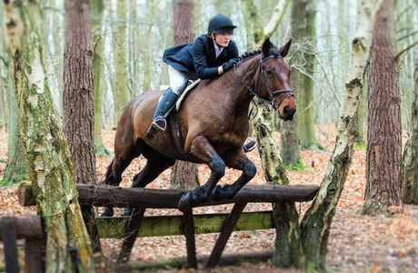 Horse Riding Surrey