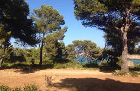 Hipico Cala Ratjada Reiten