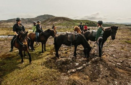 Ishestar Horse Riding Tours