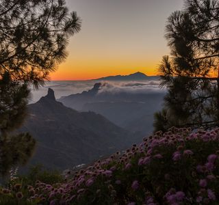 Mirador Degollada de Becerra