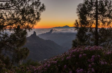 Mirador Degollada de Becerra