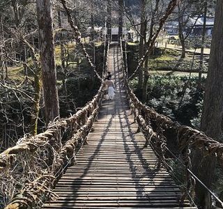 Vine Bridge, Ikedacho