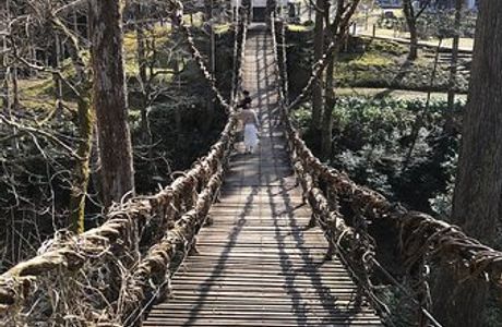 Vine Bridge, Ikedacho