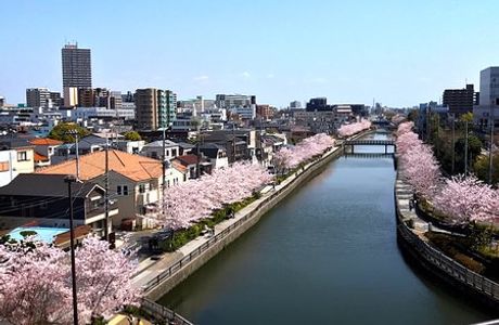Shinkawa Hi no Miyagura