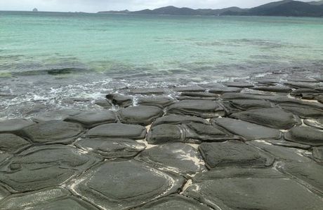 Ojima Island