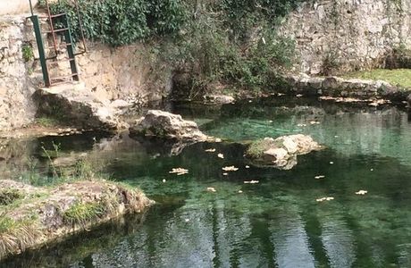 Le Caldane
