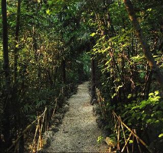 Finca La Pena Del Agua
