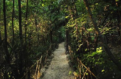 Finca La Pena Del Agua