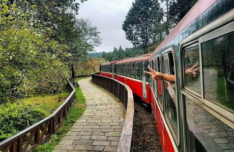Alishan Forest Railway