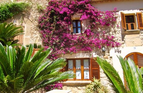 The 365 Calvari Steps