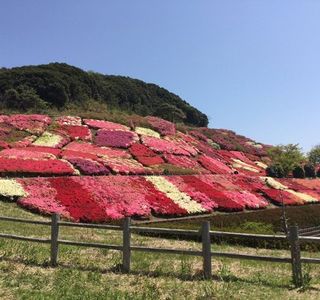 Furosan Comprehensive Park
