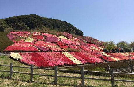 Furosan Comprehensive Park