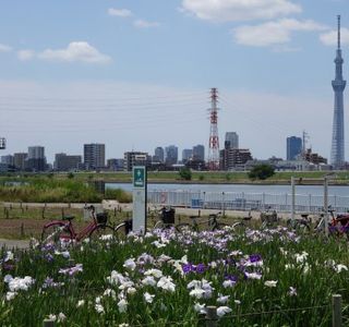 Horikiri Waterfront Park
