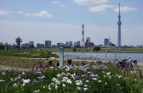 Horikiri Waterfront Park