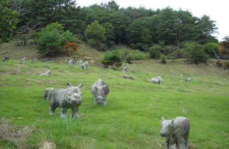 Ruri Valley Nature Park