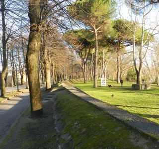 Viale delle Piagge
