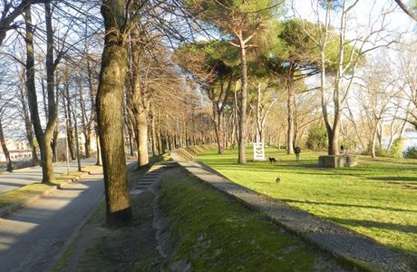 Viale delle Piagge