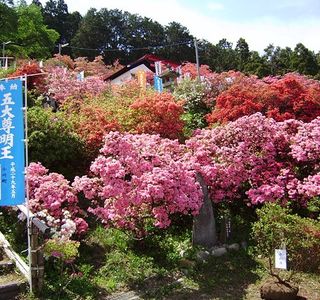 Godaison Azalea Park