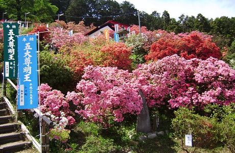 Godaison Azalea Park