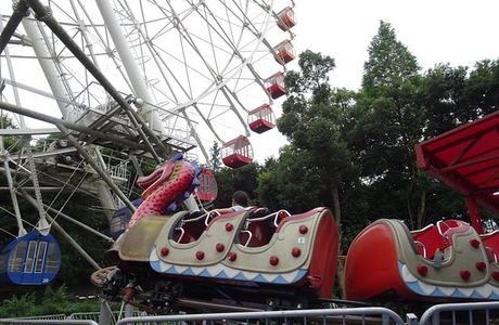 Forest Playland